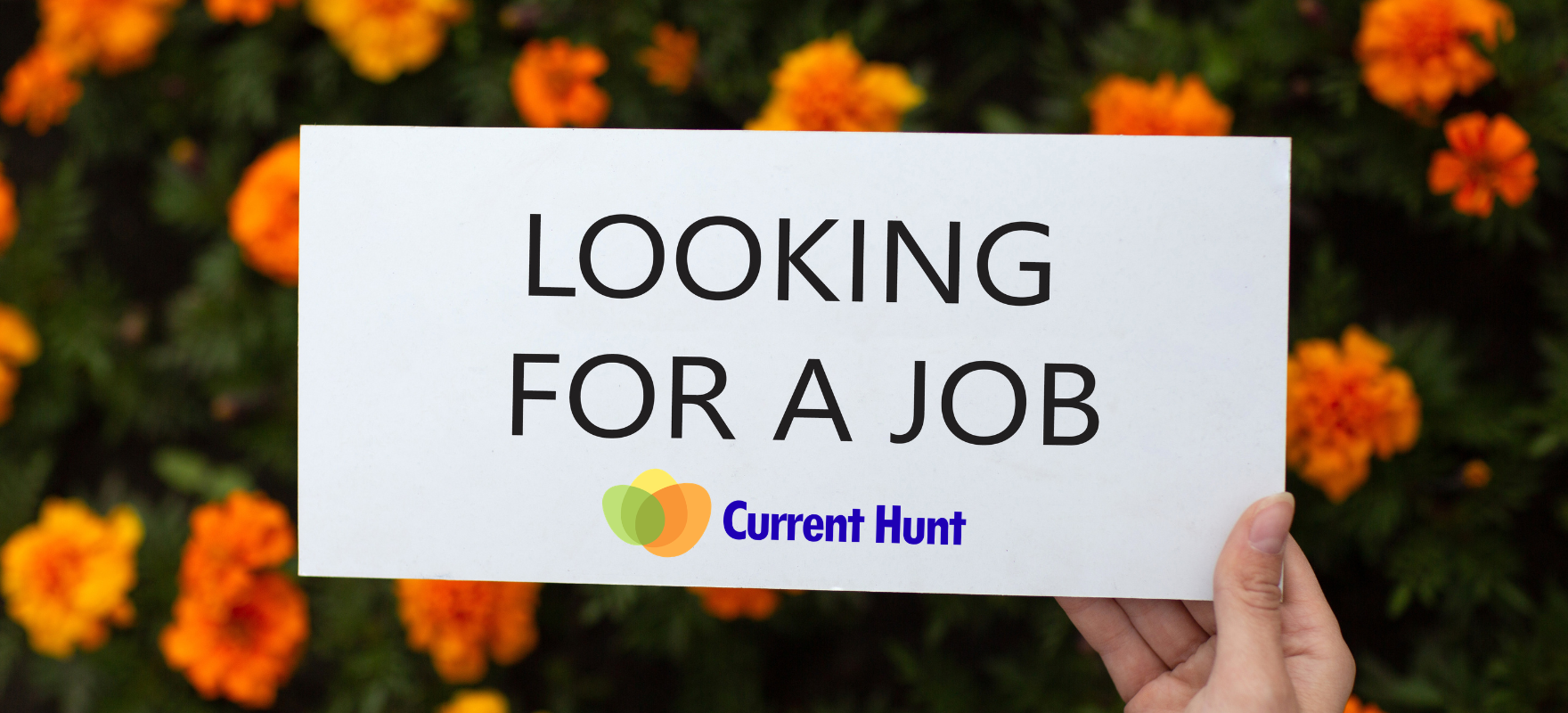 LIC HFL Junior Assistant Recruitment 2026: Apply Online for 180 Vacancies